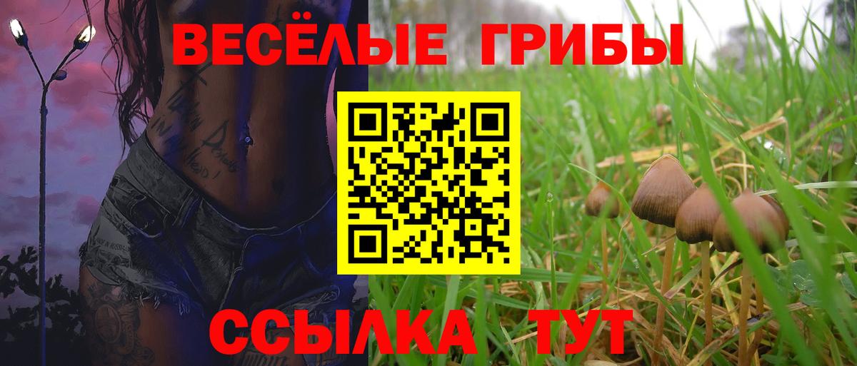 Бугуруслан  Псилоцибиновые грибы Psilocybine cubensis  Вход с VPN 